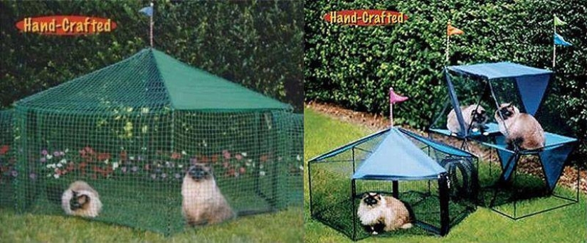 Productos raros para gatos