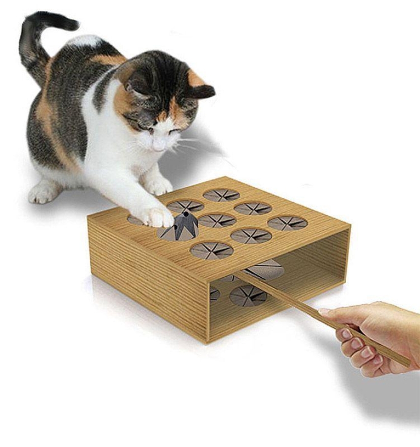 Productos raros para gatos