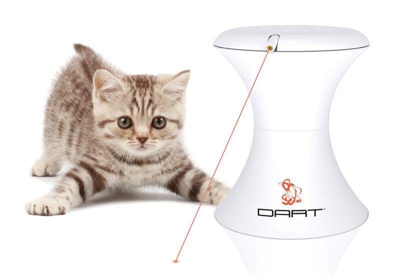 Productos raros para gatos