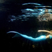 professional mermaid professional mermaid