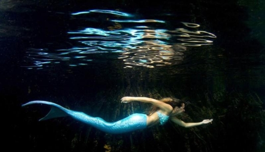 professional mermaid