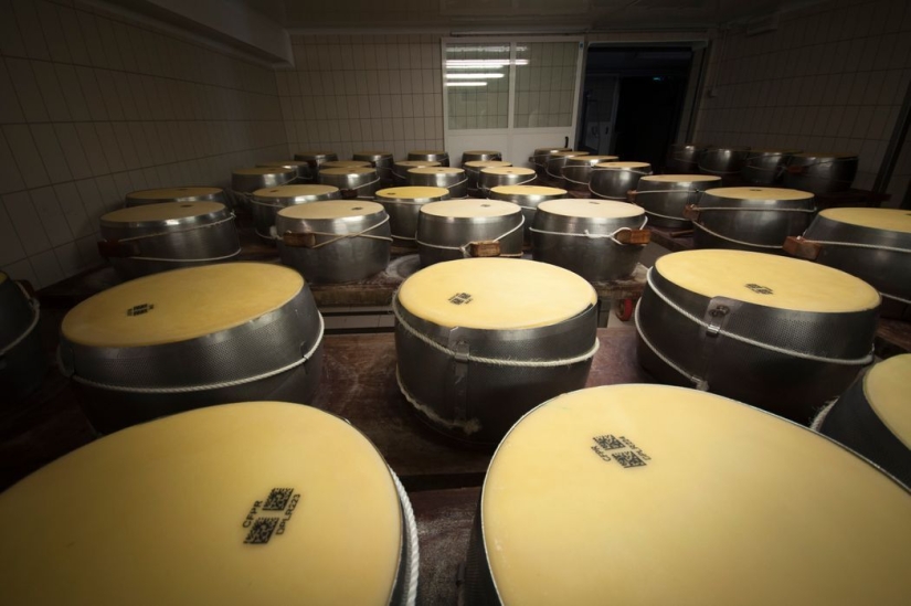 Protecting parmesan from counterfeiting: edible microchips Protecting parmesan from counterfeiting: edible microchips