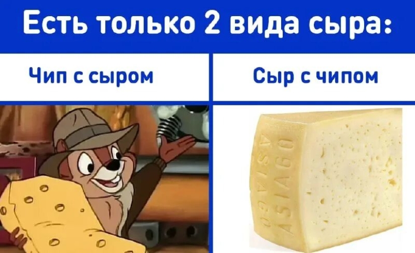 Protegiendo el parmesano de la falsificación: microchips comestibles