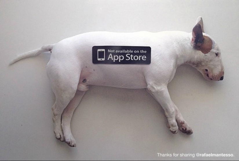 Proyecto &quot;No disponible en la App Store&quot;