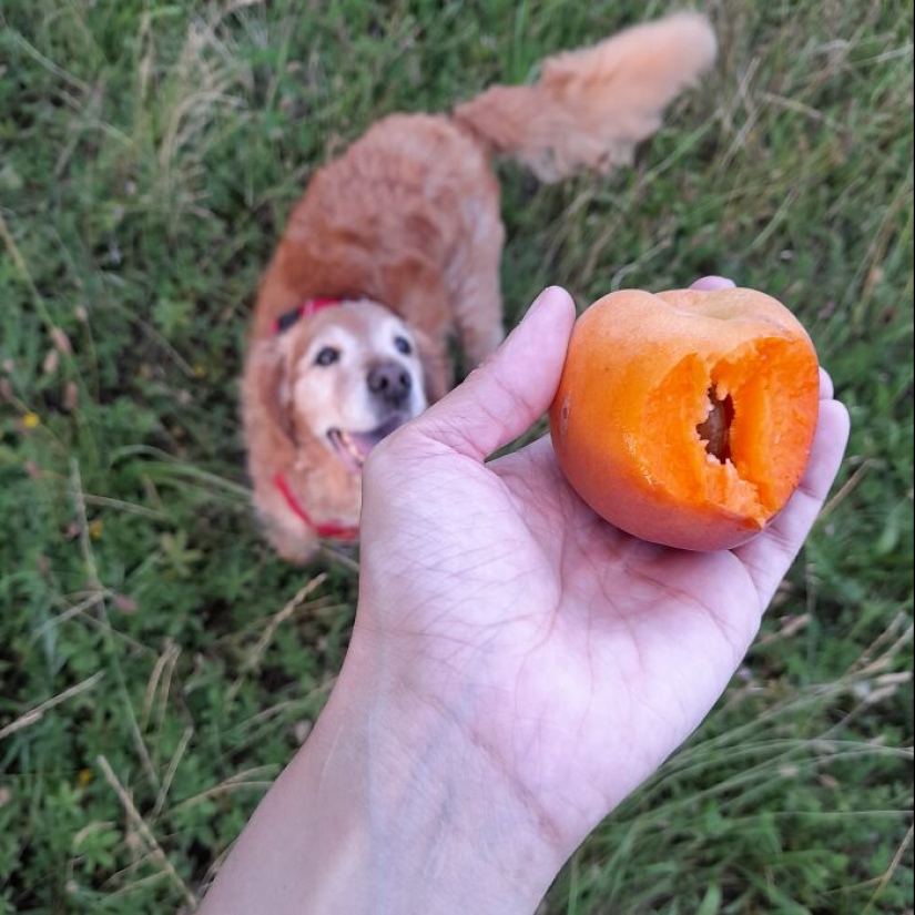 Publica una foto de tu cosa favorita relacionada con el verano (Parte 2)