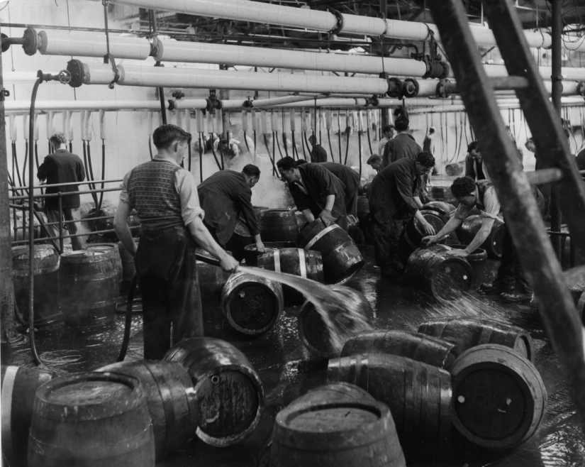 Publicación de amor por la cerveza: cómo se elaboró la verdadera Guinness