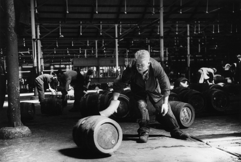 Publicación de amor por la cerveza: cómo se elaboró la verdadera Guinness