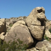 “Puesto de perritos calientes”: 10 descubrimientos inusuales y extraños que sorprendieron a los exploradores del desierto