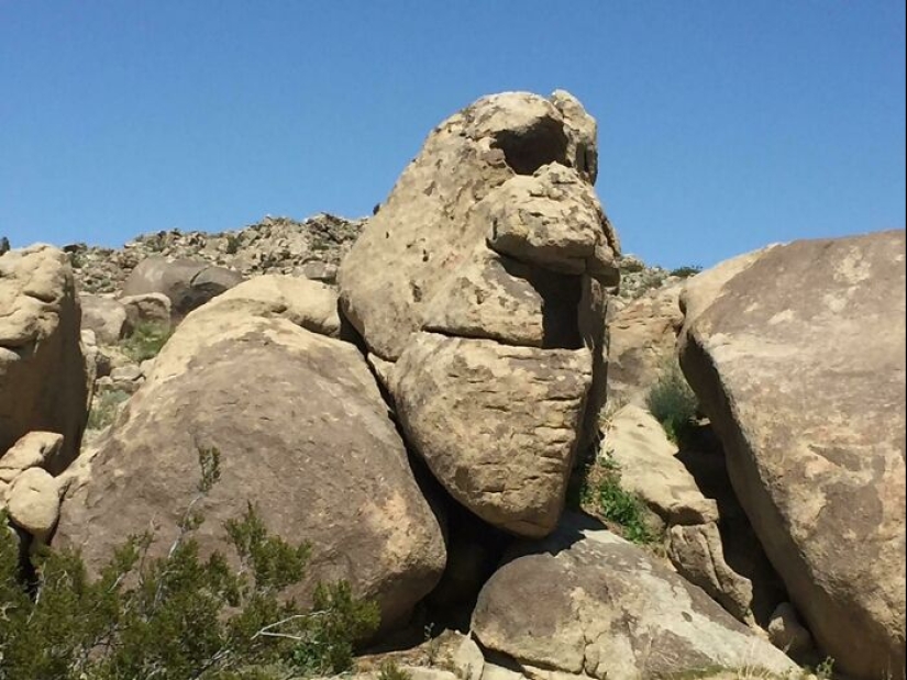“Puesto de perritos calientes”: 10 descubrimientos inusuales y extraños que sorprendieron a los exploradores del desierto “Puesto de perritos calientes”: 10 descubrimientos inusuales y extraños que sorprendieron a los exploradores del desierto