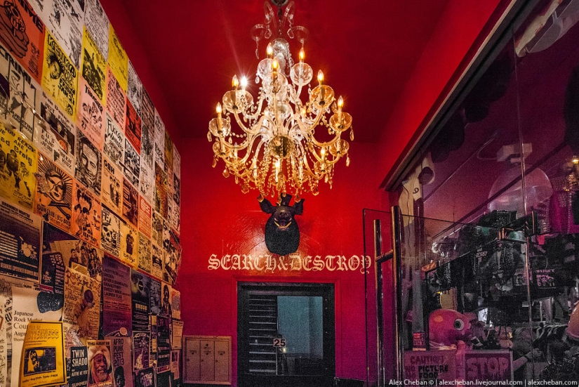 Punks de Nueva York contra Putin