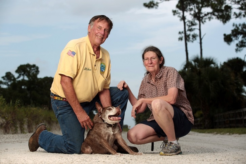 Quasimodo, el perro más feo del mundo Quasimodo, el perro más feo del mundo