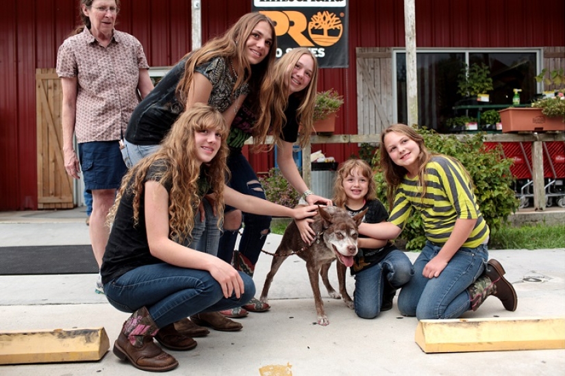 Quasimodo, el perro más feo del mundo Quasimodo, el perro más feo del mundo