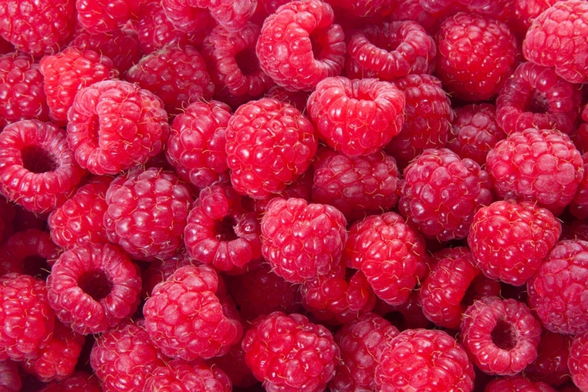 Qué comer con el calor: 10 productos para el verano Qué comer con el calor: 10 productos para el verano