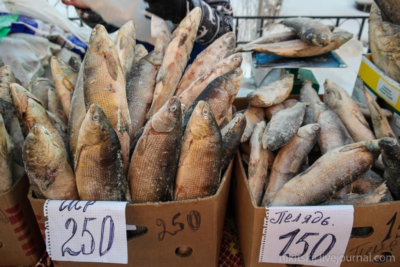 ¿Qué es la verdadera stroganina Yakut?