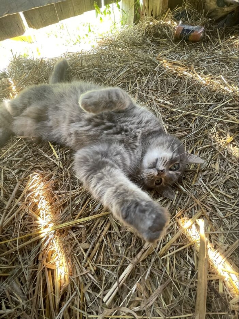 ¿Qué es una cosita rara que has encontrado?
