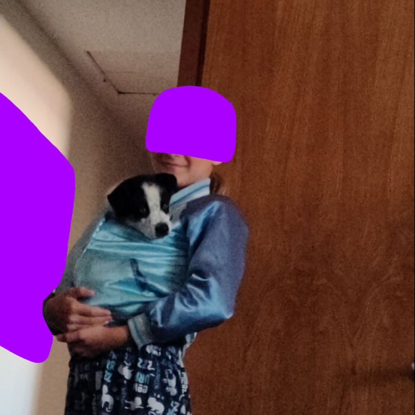 ¿Qué es una cosita rara que has encontrado?
