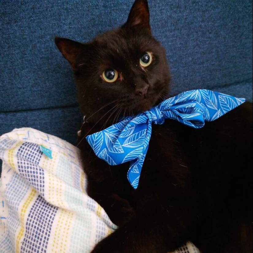 ¿Qué es una cosita rara que has encontrado?