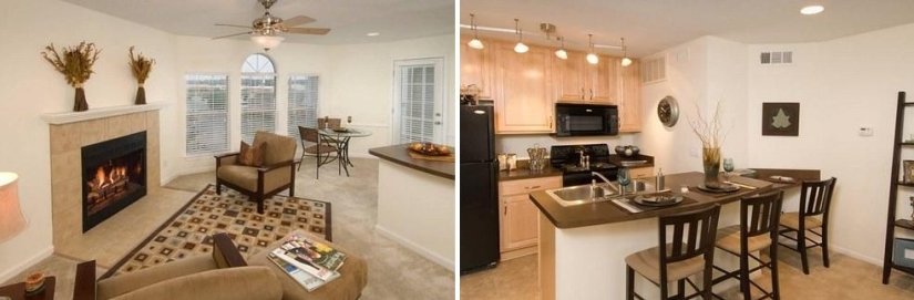 ¿Qué vivienda se puede alquilar por mil dólares en varias ciudades de Estados Unidos? ¿Qué vivienda se puede alquilar por mil dólares en varias ciudades de Estados Unidos?