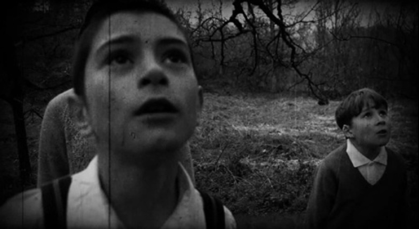 "¿Quién puso a Bella en el olmo?": un hallazgo espeluznante en el bosque sorprendió a un pequeño pueblo "¿Quién puso a Bella en el olmo?": un hallazgo espeluznante en el bosque sorprendió a un pequeño pueblo