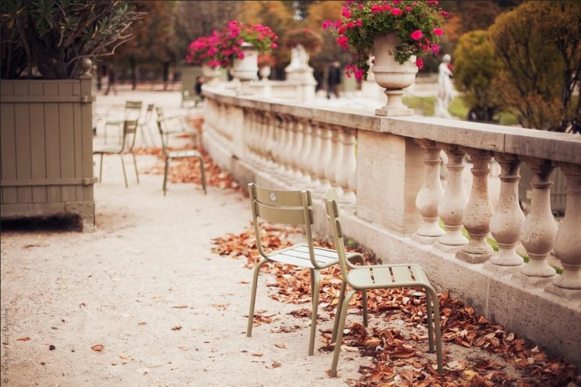 quiero ir a Francia