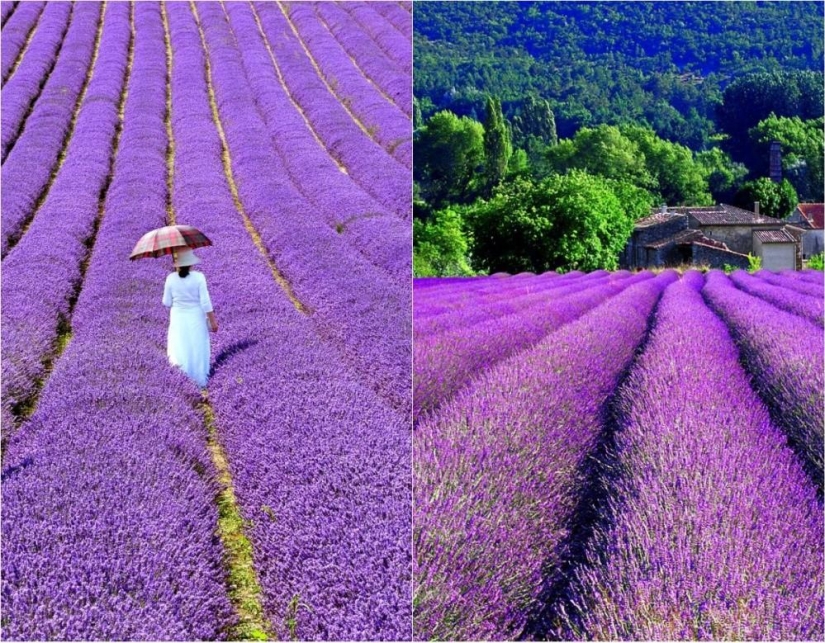 quiero ir a Francia