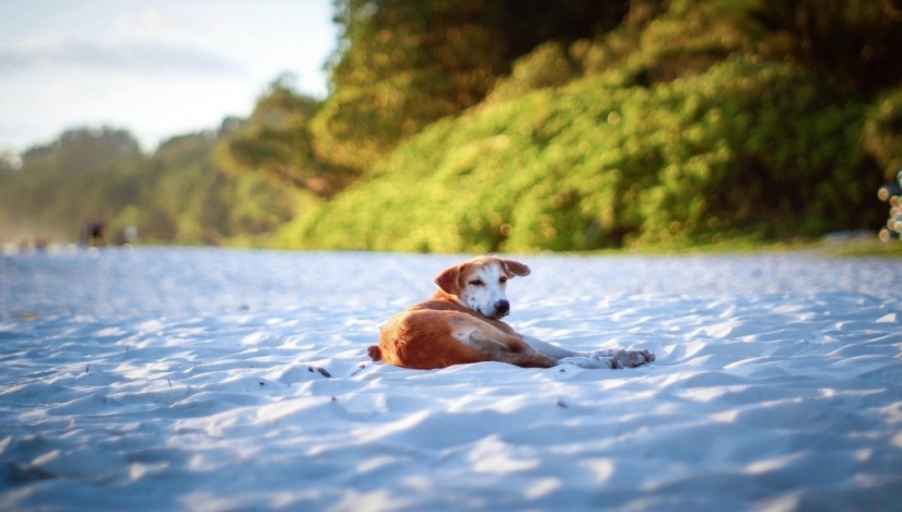 quiero ir a la india quiero ir a la india