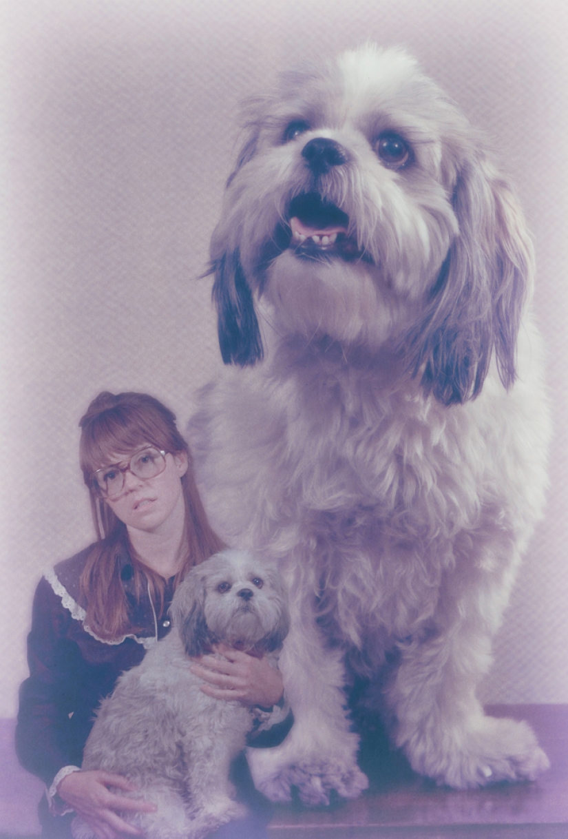 Quítate, quítame, fotógrafo Quítate, quítame, fotógrafo