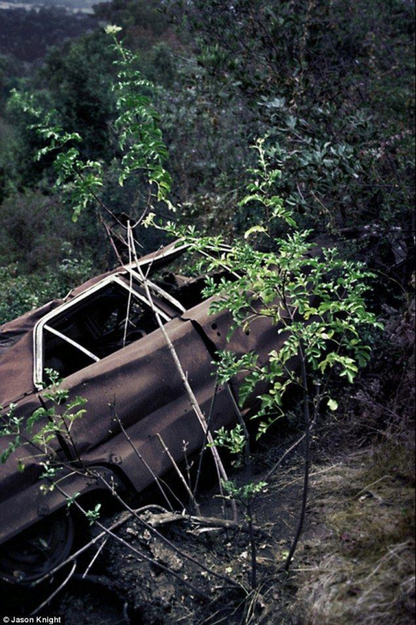 Rare cars on the bluffs of Mulholland Drive Rare cars on the bluffs of Mulholland Drive