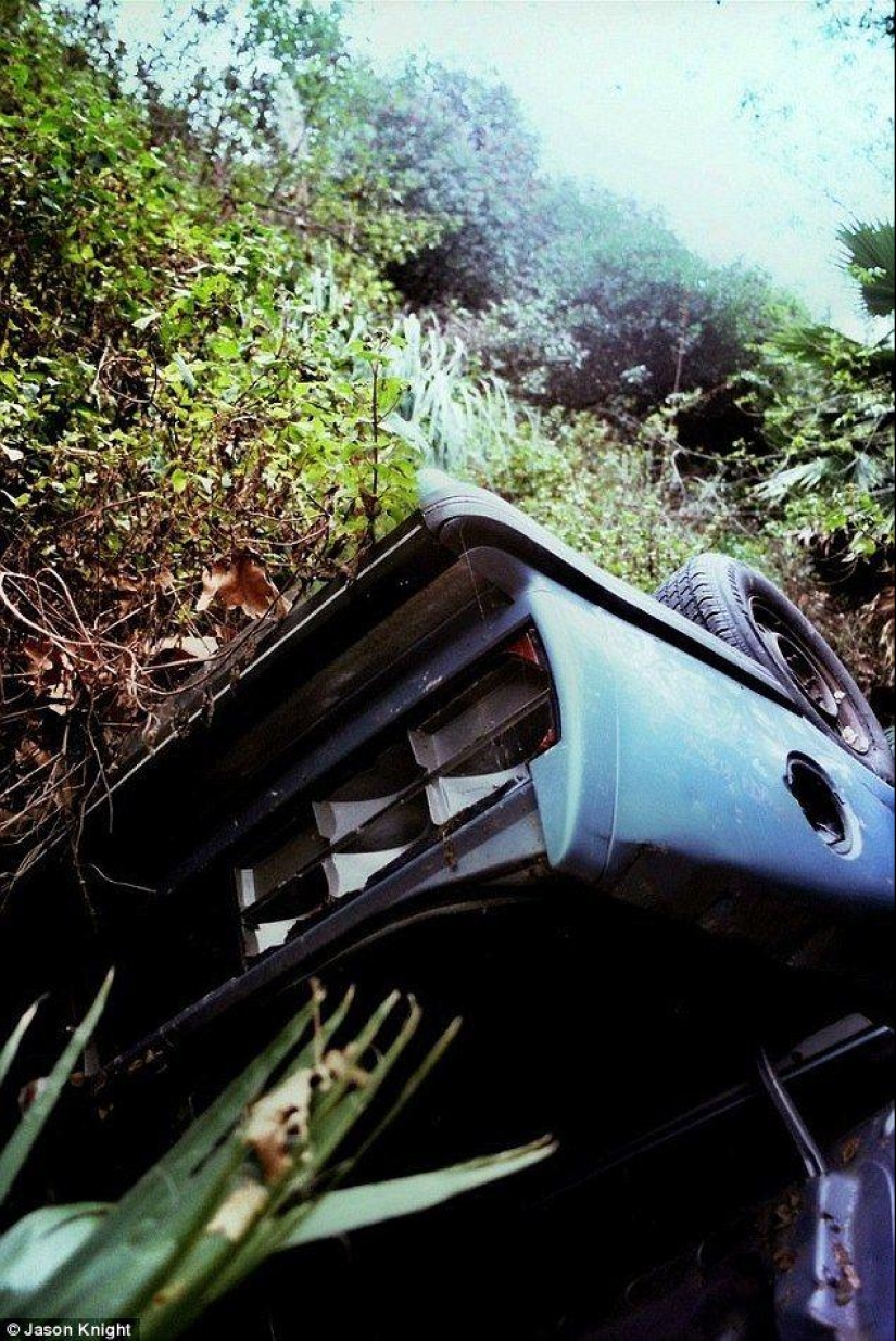 Rare cars on the bluffs of Mulholland Drive Rare cars on the bluffs of Mulholland Drive