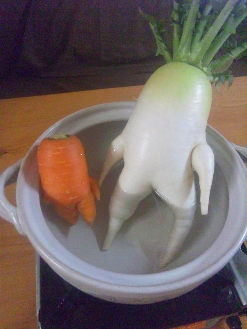 Rábanos señoriales y otras frutas-hortalizas que han olvidado que son plantas