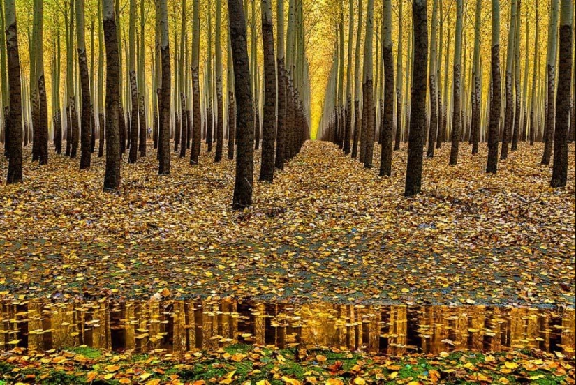 Reflejos en paisajes y más Reflejos en paisajes y más