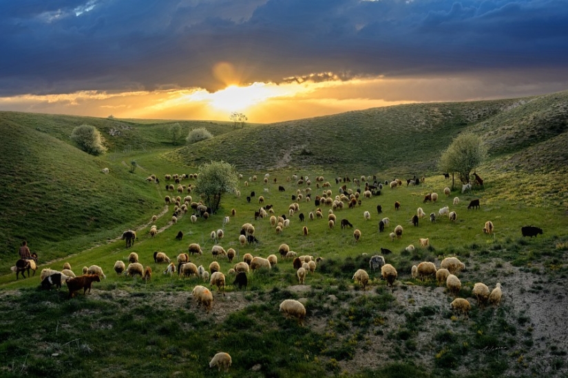 Regla de los tercios: 21 fotos con gran composición Regla de los tercios: 21 fotos con gran composición