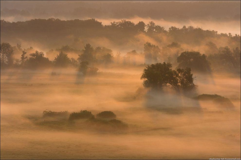 Reino de la Niebla