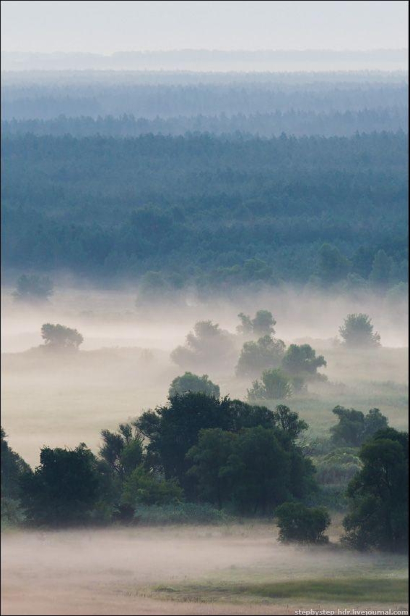 Reino de la Niebla