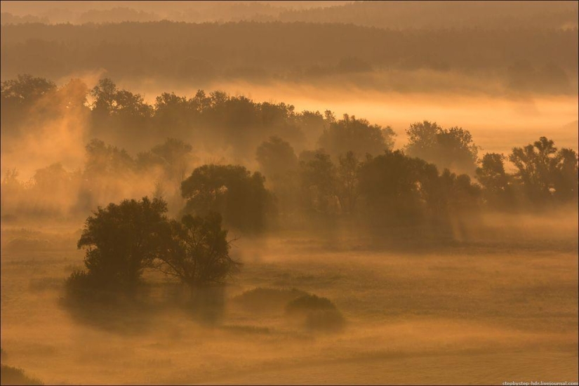 Reino de la Niebla