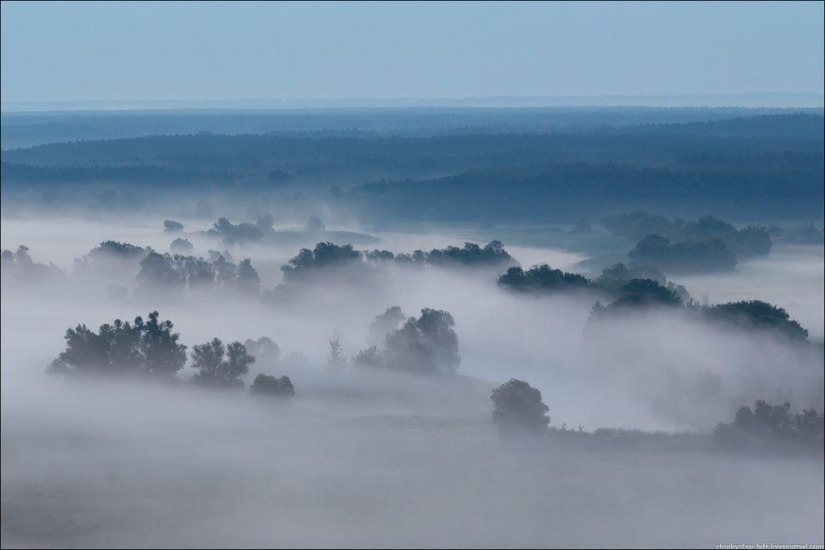Reino de la Niebla