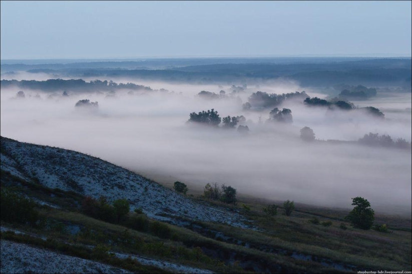 Reino de la Niebla