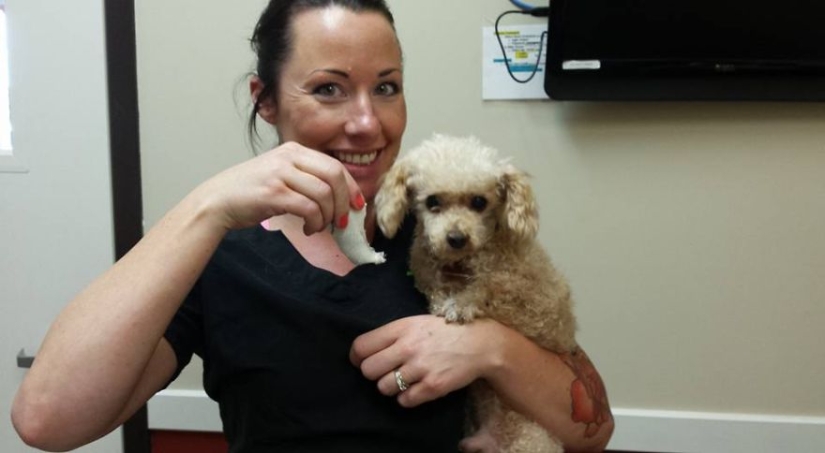 Rescate de un perro de dos patas que pasó 10 angustiosos años en la calle