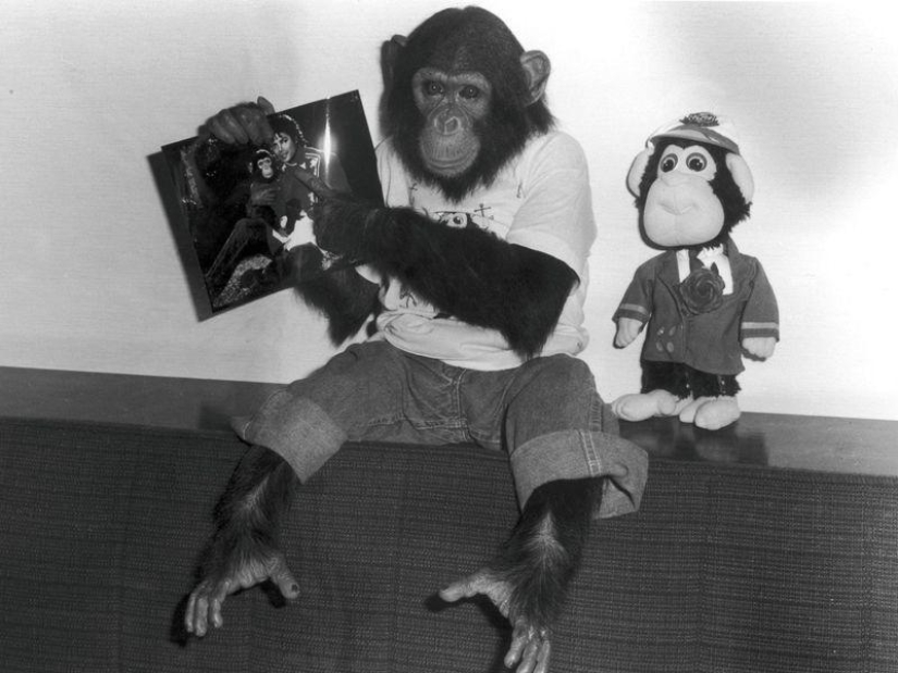 Rich Animals Rich Animals