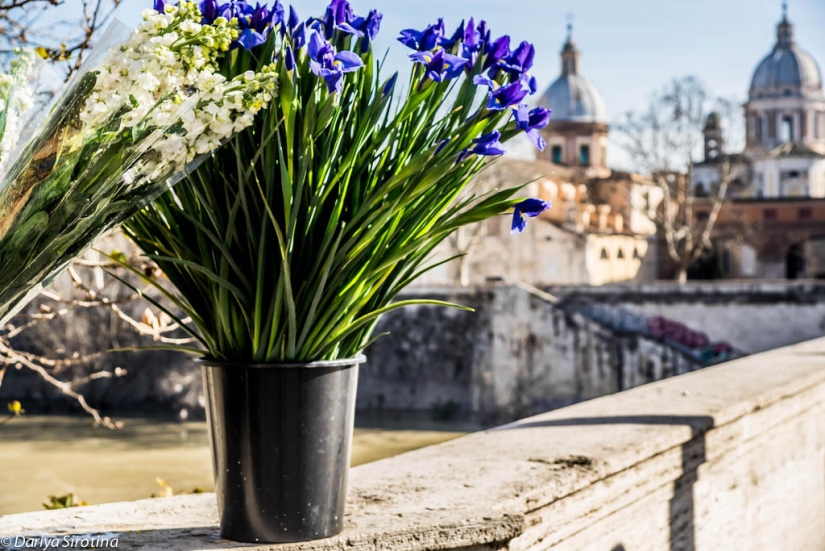 Roma. Primavera