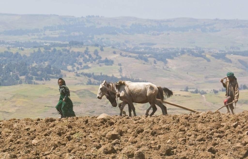 "Roof of Africa": the impressive beauty of the Ethiopian highlands "Roof of Africa": the impressive beauty of the Ethiopian highlands