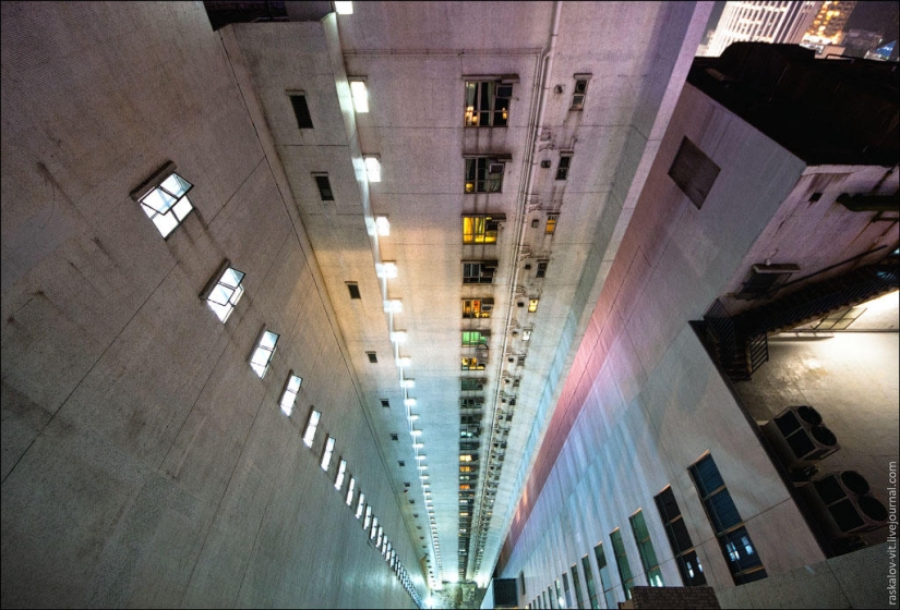 Roofers in Hong Kong