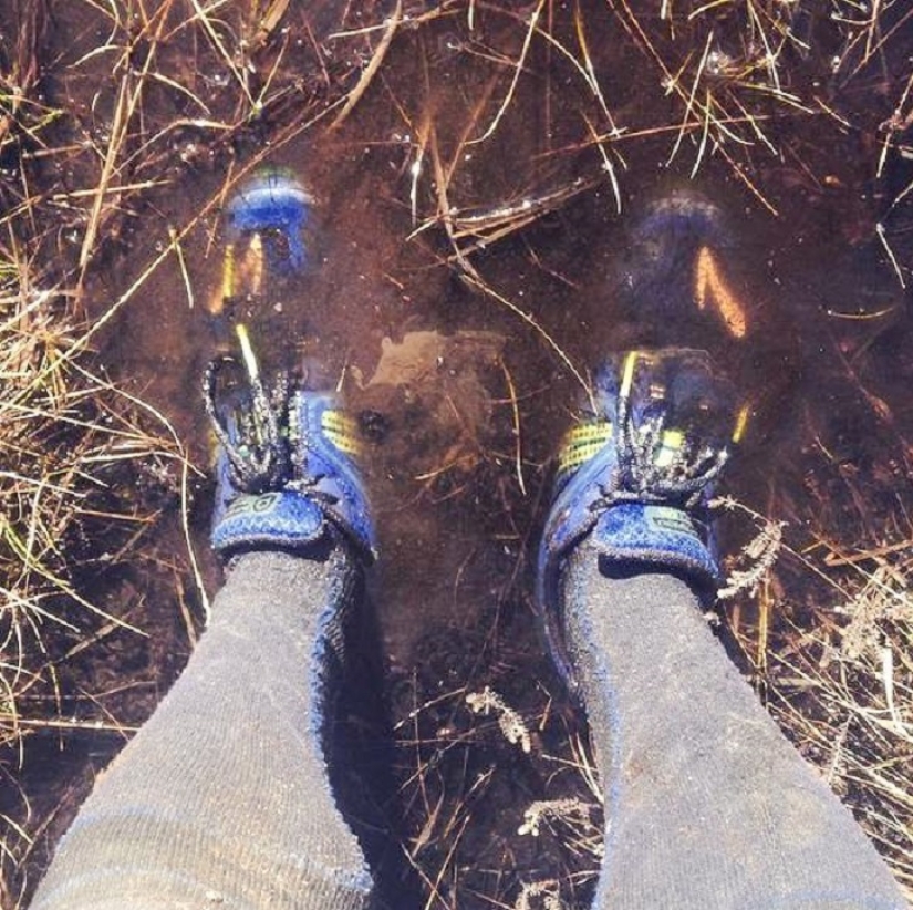 Run, Sean, run! Run, Sean, run!