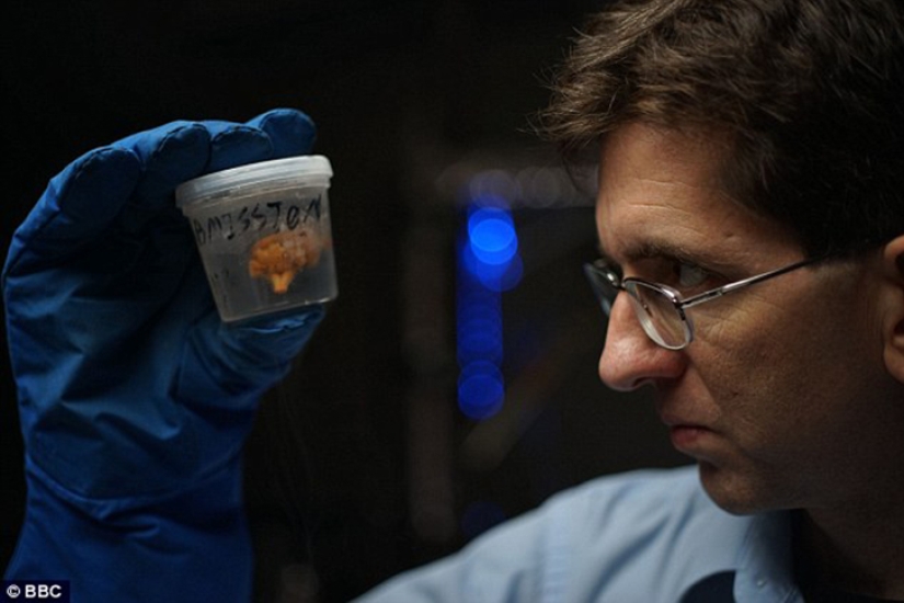 Russian businessman decided to give us eternal life