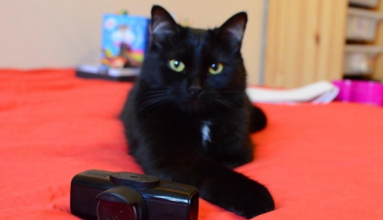 Russian design bureau creates "iPhones" - video recorders