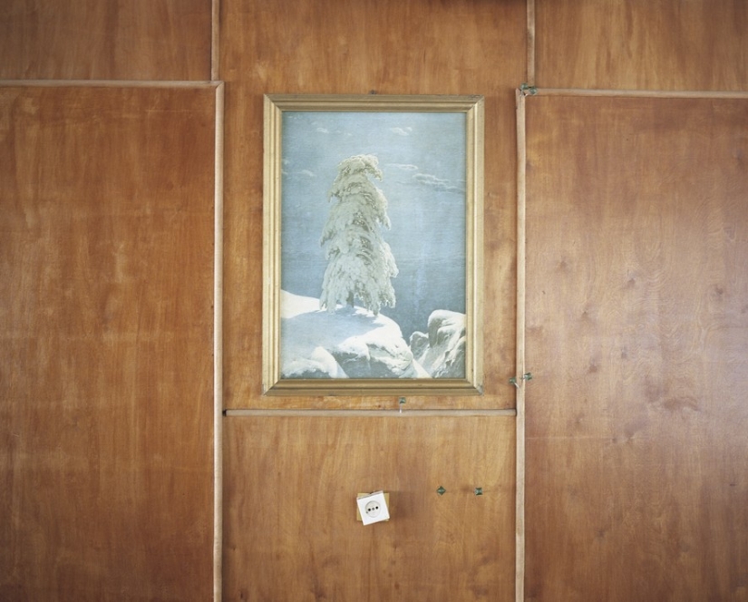 "Salt of the earth" "Salt of the earth"