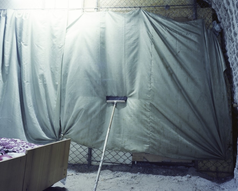 "Salt of the earth" "Salt of the earth"