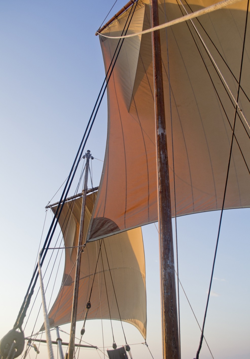 ¡Salvemos la nave juntos! ¡Salvemos la nave juntos!