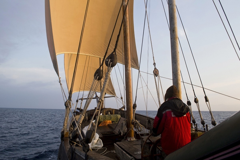 ¡Salvemos la nave juntos! ¡Salvemos la nave juntos!