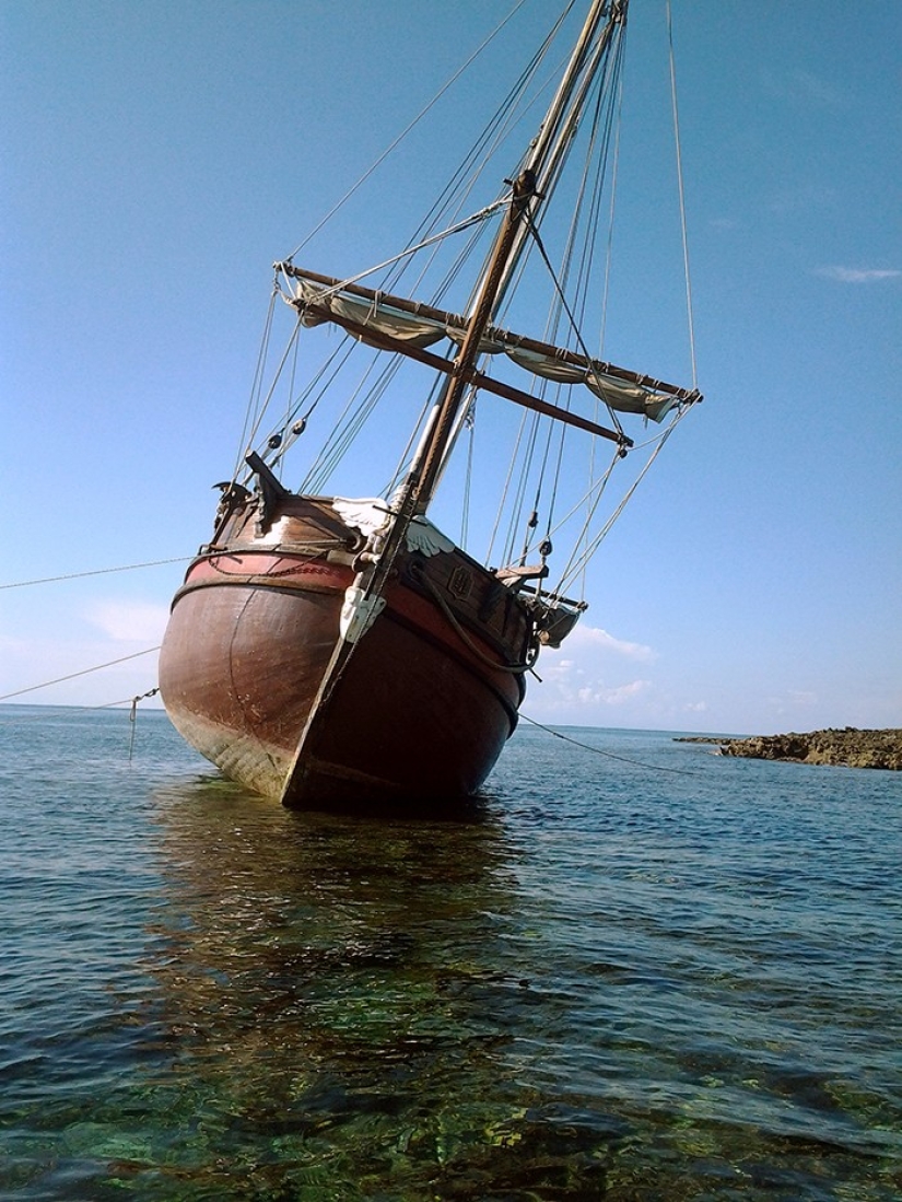 ¡Salvemos la nave juntos! ¡Salvemos la nave juntos!